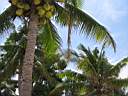 Thailandia 084.jpg